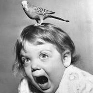 Meet your Posher, Jean